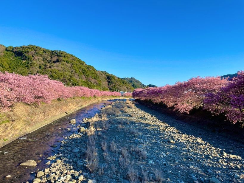 峰小橋からの眺め