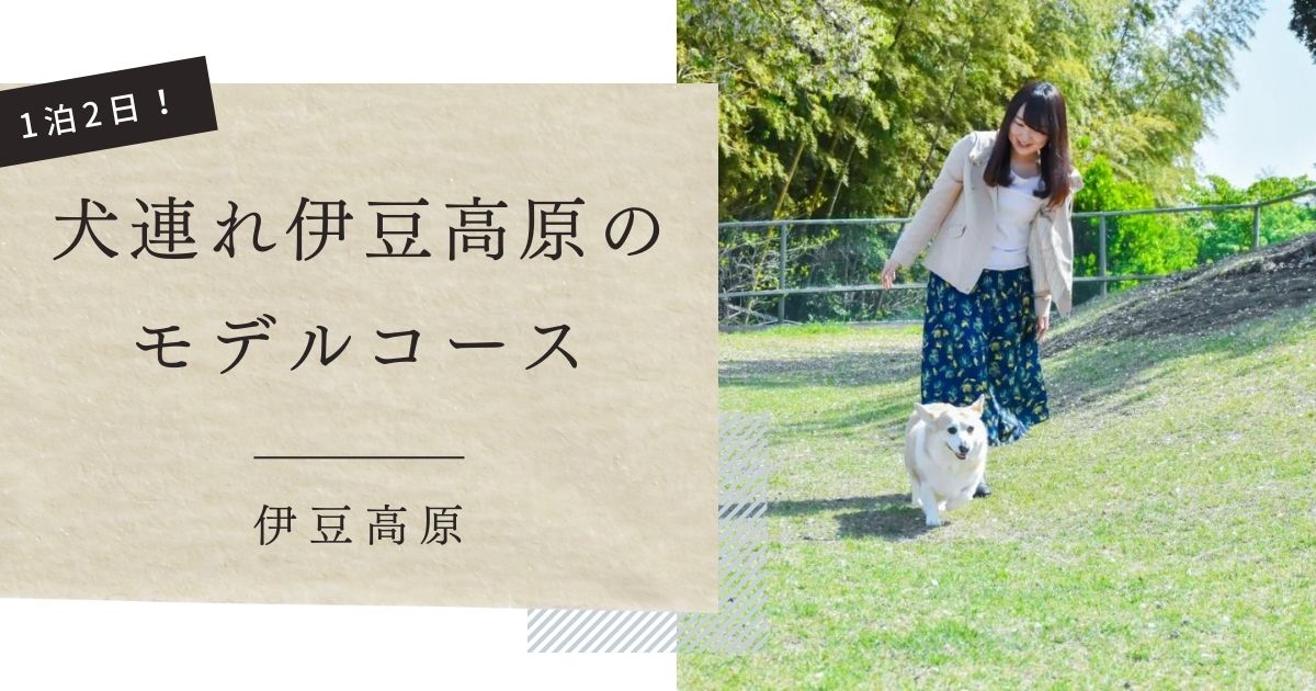 犬連れ伊豆高原のモデルコース